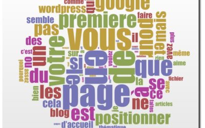 Positionner en premiere page …. référencer son blog ce n’est pas du gâteau !